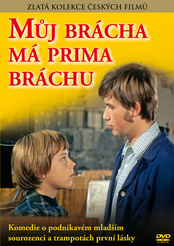 У моего брата отличный братишка (1975) постер