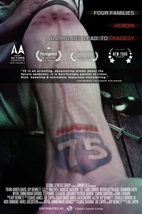 75 (2017) постер